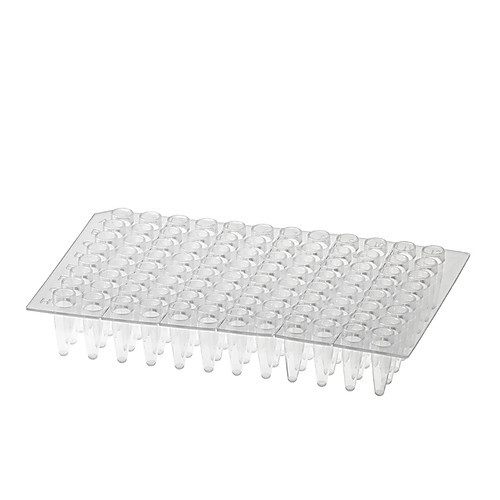 amplatet, raised rim, no skirt, pcr, natural