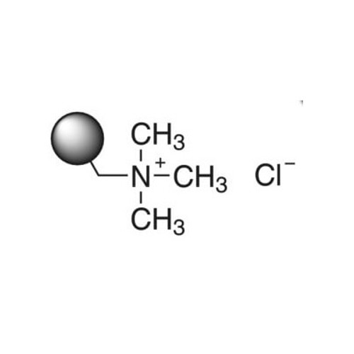 amberlite® ira-900 (c09-0714-285)