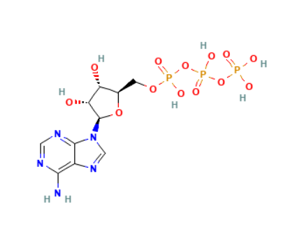 adenosine triphosphate (c09-0728-605)