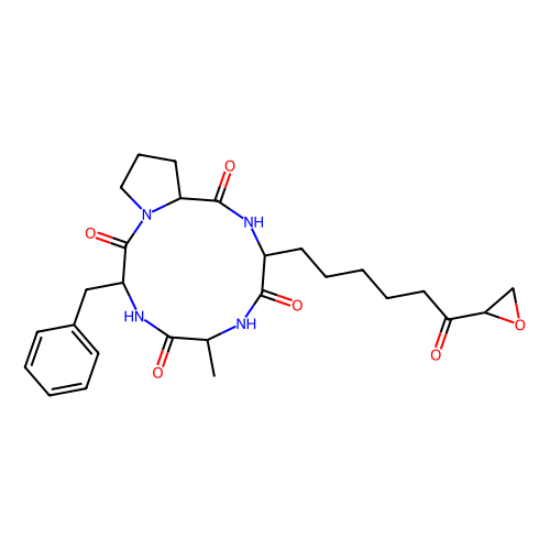 1-alaninechlamydocin