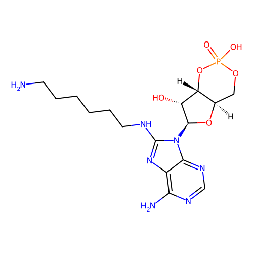 8-(6-aminohexyl)aminoadenosine 3′:5′-cyclic monophosphate