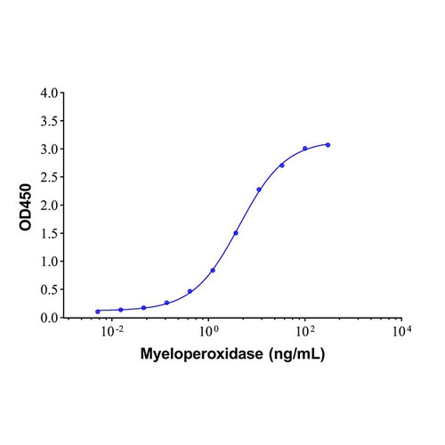 myeloperoxidase mouse mab (c09-0739-531)