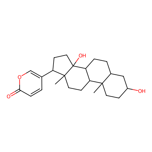 bufalin (c09-0761-269)