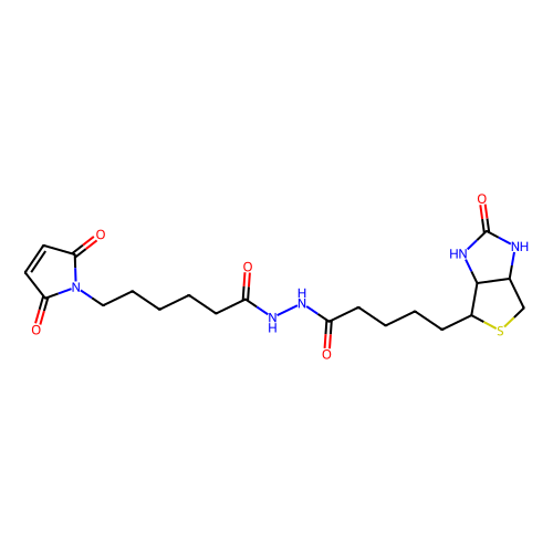 biotin-maleimide (c09-0778-987)