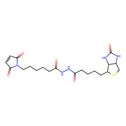 biotin-maleimide (c09-0778-988)