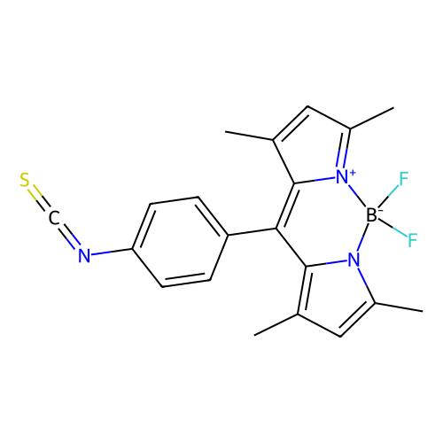 bodipy isothiocyanate