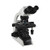 3012-led ergo binocular microscope with plan achromat object