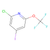 2-chloro-4-iodo-6-(trifluoromethoxy)pyridine (c09-0812-036)