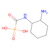cis-accp (c09-0818-579)