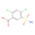 2,4-dichloro-5-sulfamoylbenzoic acid (c09-0830-026)
