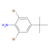 2,6-dibromo-4-tert-butylaniline (c09-0847-806)