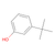 3-tert-butylphenol (c09-0868-840)