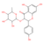 engeletin (c09-0880-978)