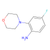 4-fluoro-2-morpholinoaniline (c09-0890-110)