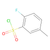 2-fluoro-5-methylbenzenesulfonyl chloride (c09-0890-873)