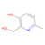 2,6-lutidine-α2,3-diol (c09-0933-090)