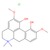 magnoflorine chloride (c09-0967-737)