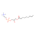 1-nonanoyl-2-hydroxy-sn-glycero-3-phosphocholine (c09-0975-268)