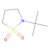 n-t-butyl-1,3-propanesultam (c09-0981-547)