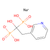 risedronate sodium (c09-1023-635)