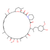 rapamycin (c09-1032-699)