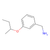 [3-(sec-butoxy)phenyl]methanamine