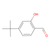 4-tert-butyl-2-hydroxybenzaldehyde (c09-1069-981)
