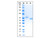 recombinant human transferrin protein  (c09-1096-033)