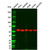 vimentin mouse mab (c09-1103-975)