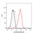 recombinant cd30 antibody (apc) (c09-1105-487)