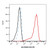 recombinant cd3 antibody (pe) (c09-1105-857)