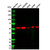 vimentin mouse mab (c09-1105-924)