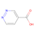 pyridazine-4-carboxylic acid (c09-1003-995)