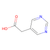 5-pyrimidine acetic acid (c09-1012-425)