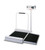 detecto stationary wheelchair scales 10080615