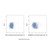 dll1 armenian hamster mab (c09-1610-638)