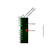 t7 tag mouse mab (c09-1611-327)