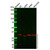 taci antibody (c09-1611-331)