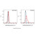 manelimab (anti-pd-l1) (c09-1612-346)