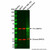 bmp10 antibody (c09-1935-310)