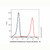 cd138/syndecan-1 mouse mab (biotin) (c09-1944-203)