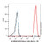 egfr mouse mab (biotin) (c09-1944-839)
