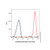 egfr mouse mab (apc) (c09-1944-844)