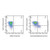epcam/cd326 rat mab (fitc) (c09-1945-085)