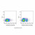 cd19 mouse mab (af700) (c09-1945-522)