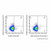 bst2/cd317 rat mab (c007b-568815)