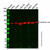 recombinant hnrnp m1-m4 antibody (c007b-569341)