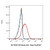 cd4 mouse mab (c007b-574681)