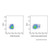 cd122/il-2rβ rat mab (pe) (c007b-574861)