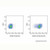 cd44 rat mab (fitc) (c007b-574917)